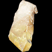 Natural Citrine backbone crystal 261*71*59mm 1365g in sunlight - Rocks and Things Store