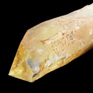 Natural Citrine backbone crystal 261*71*59mm 1365g in sunlight - Rocks and Things Store