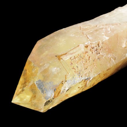 Natural Citrine backbone crystal 261*71*59mm 1365g in sunlight - Rocks and Things Store