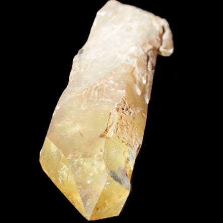 Natural Citrine backbone crystal 261*71*59mm 1365g in sunlight - Rocks and Things Store