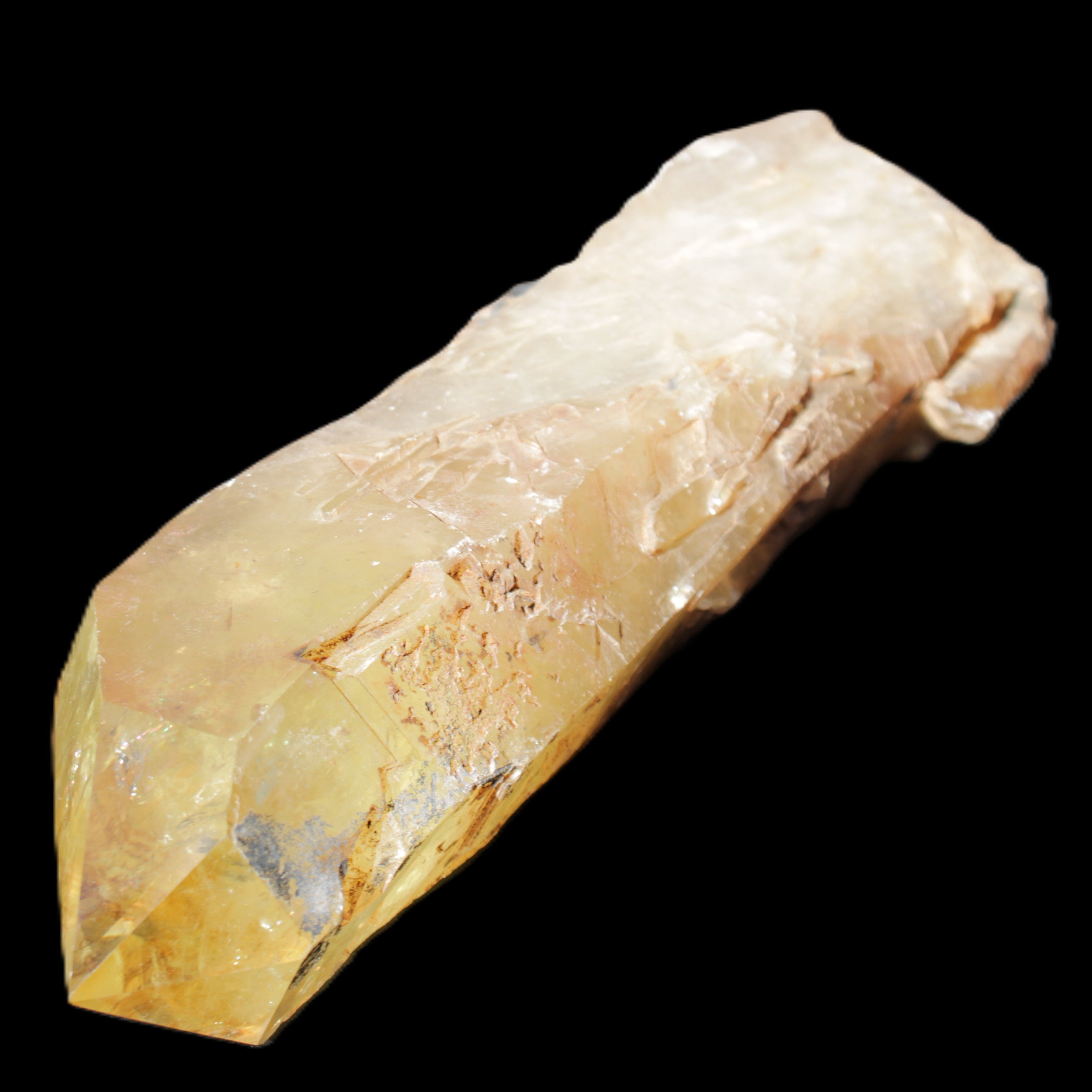 Natural Citrine backbone crystal 261*71*59mm 1365g in sunlight - Rocks and Things Store