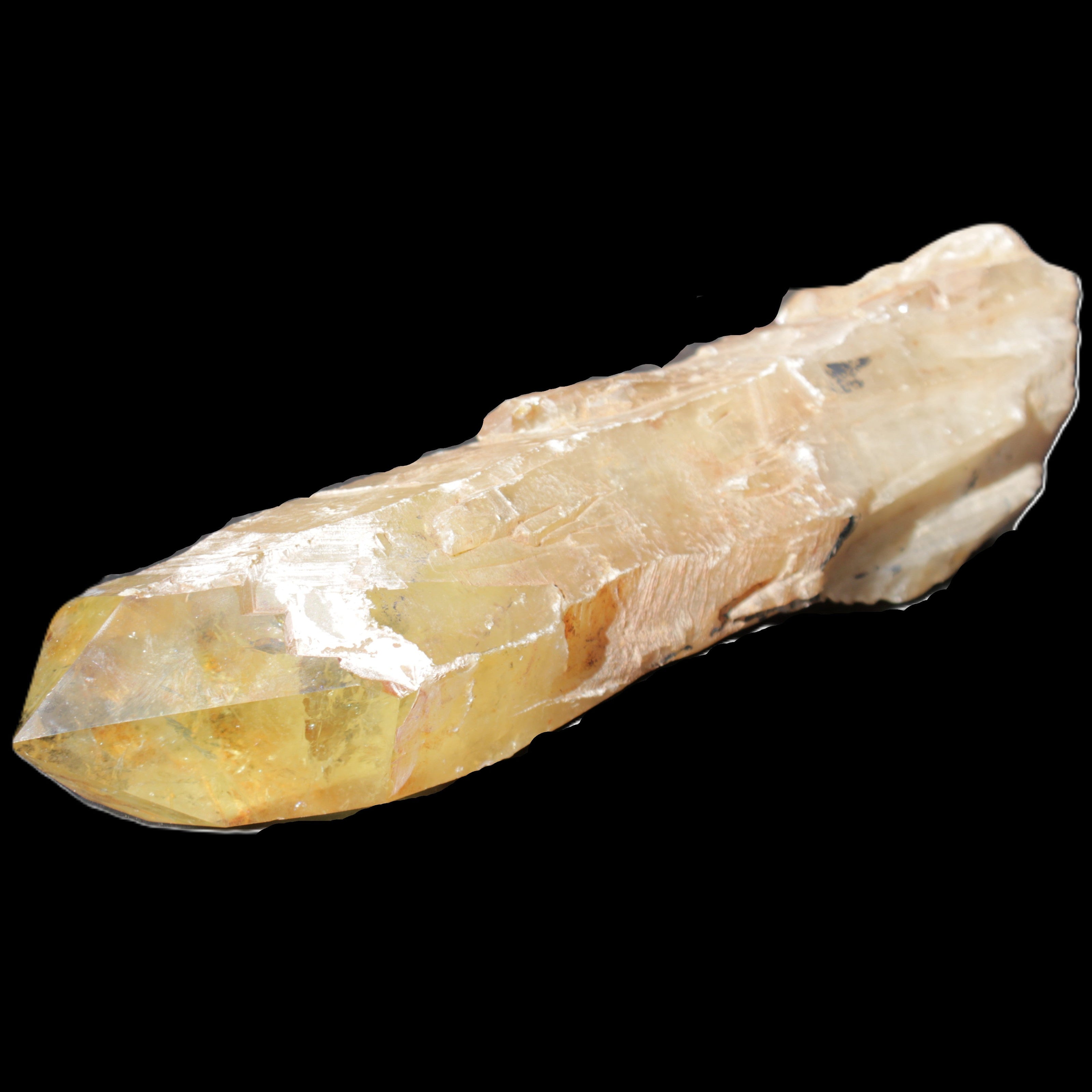 Natural Citrine backbone crystal 261*71*59mm 1365g in sunlight - Rocks and Things Store