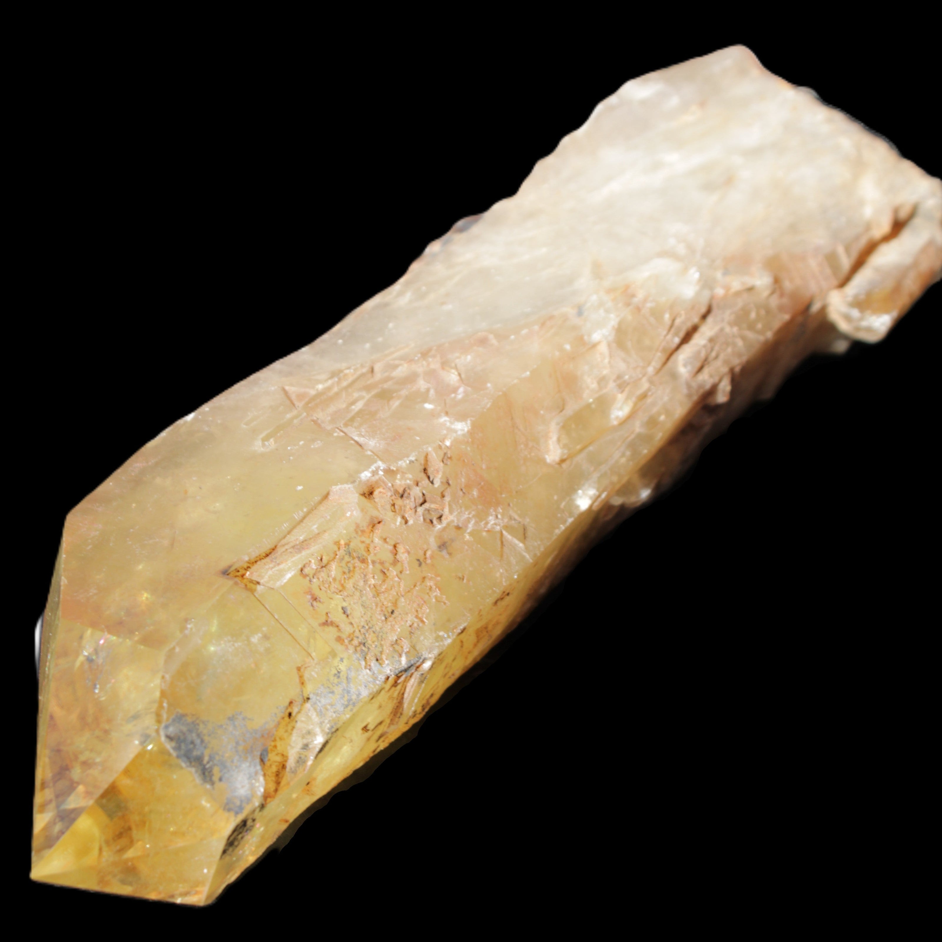 Natural Citrine backbone crystal 261*71*59mm 1365g in sunlight - Rocks and Things Store