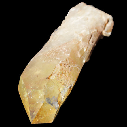 Natural Citrine backbone crystal 261*71*59mm 1365g in sunlight - Rocks and Things Store