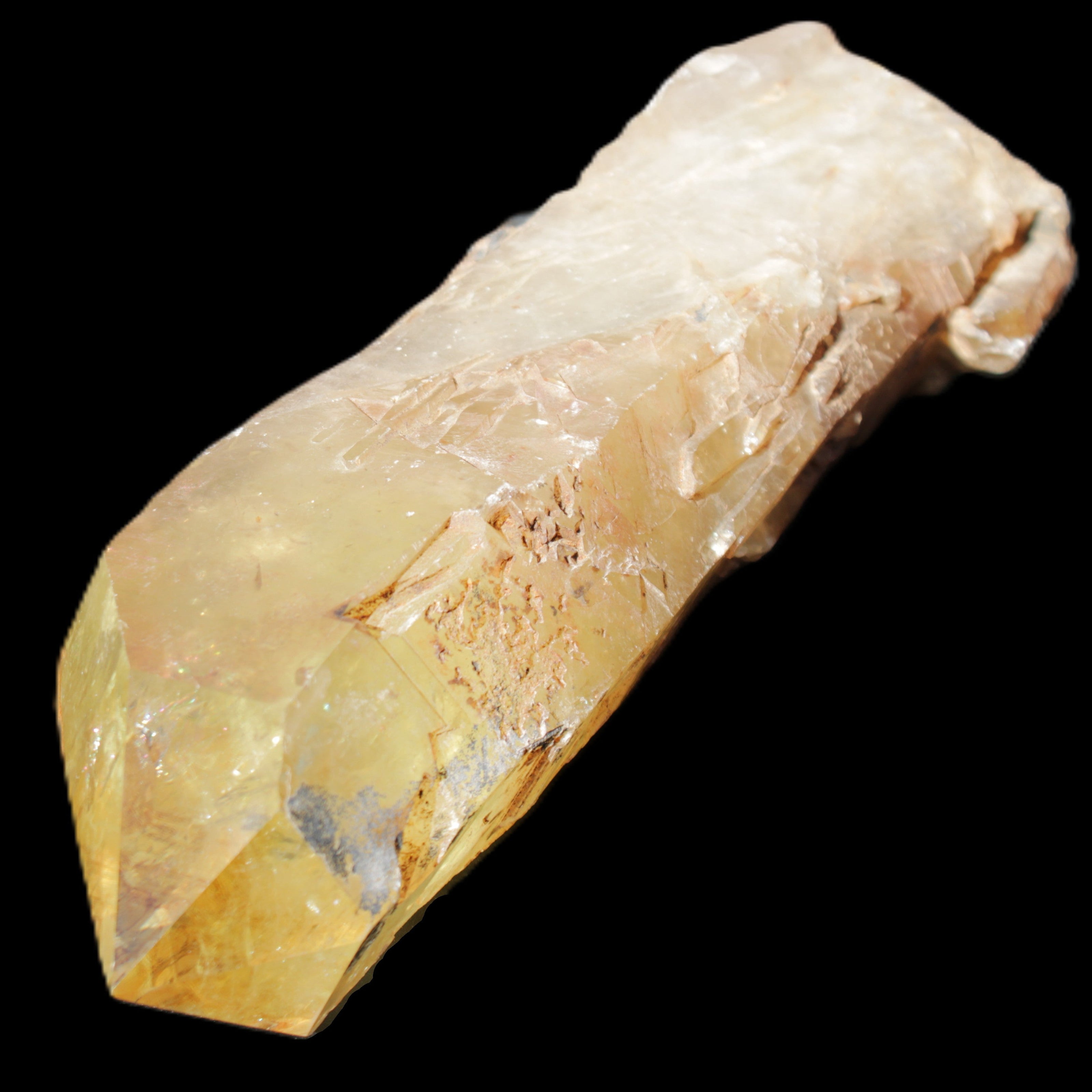 Natural Citrine backbone crystal 261*71*59mm 1365g in sunlight - Rocks and Things Store
