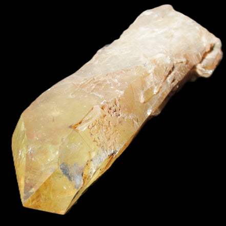 Natural Citrine backbone crystal 261*71*59mm 1365g in sunlight - Rocks and Things Store