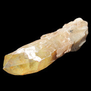 Natural Citrine backbone crystal 261*71*59mm 1365g in sunlight - Rocks and Things Store