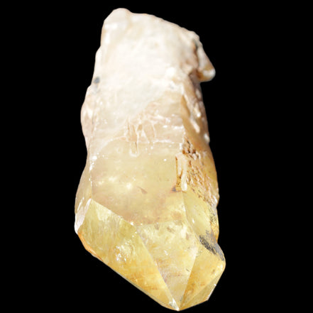 Natural Citrine backbone crystal 261*71*59mm 1365g in sunlight - Rocks and Things Store