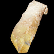 Natural Citrine backbone crystal 261*71*59mm 1365g in sunlight - Rocks and Things Store