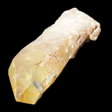 Natural Citrine backbone crystal 261*71*59mm 1365g in sunlight - Rocks and Things Store