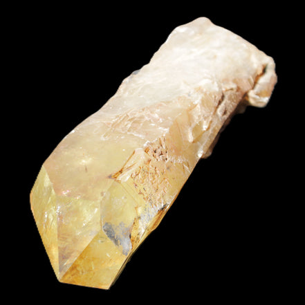 Natural Citrine backbone crystal 261*71*59mm 1365g in sunlight - Rocks and Things Store
