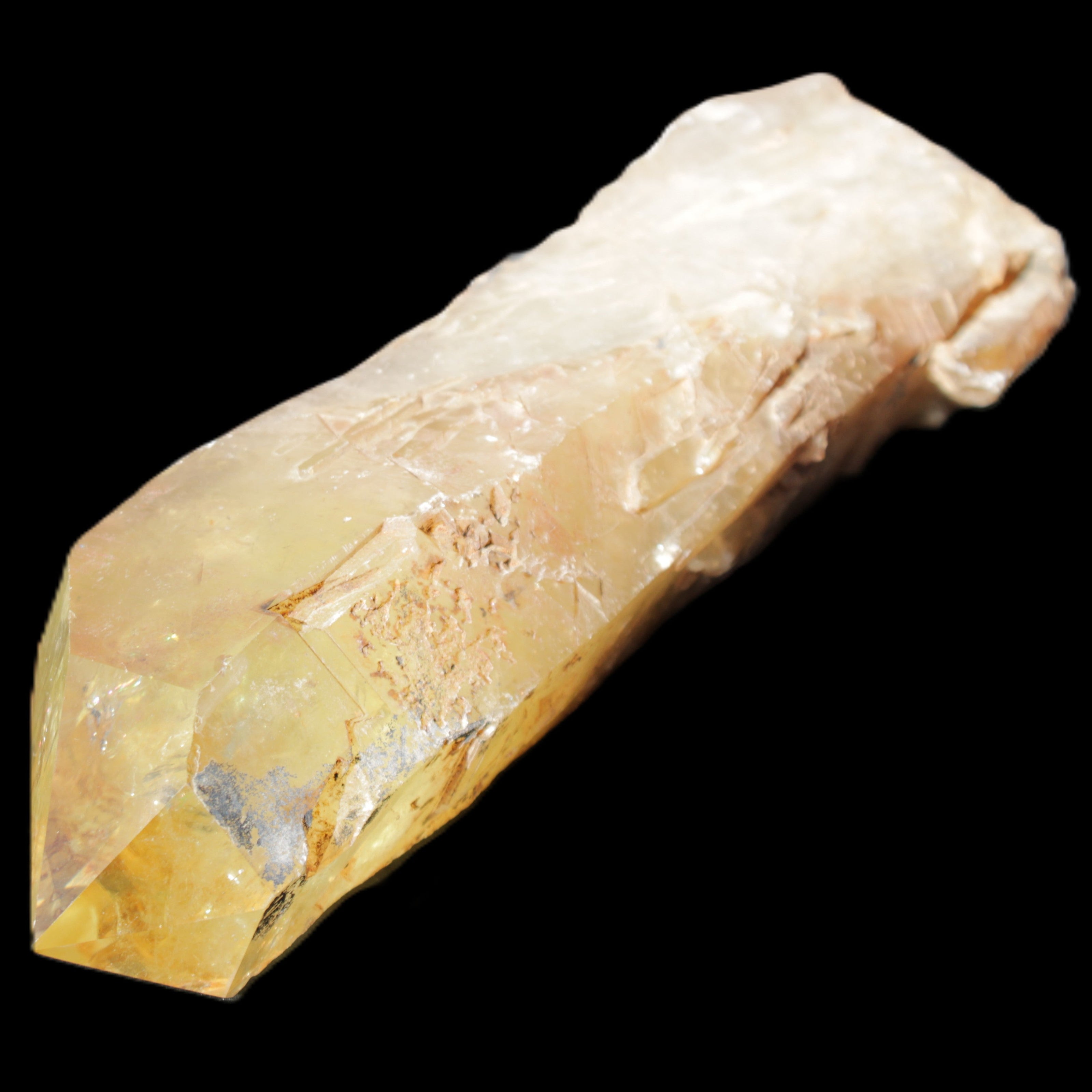 Natural Citrine backbone crystal 261*71*59mm 1365g in sunlight - Rocks and Things Store