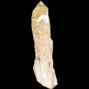 Natural Citrine backbone crystal 261*71*59mm 1365g in sunlight - Rocks and Things Store