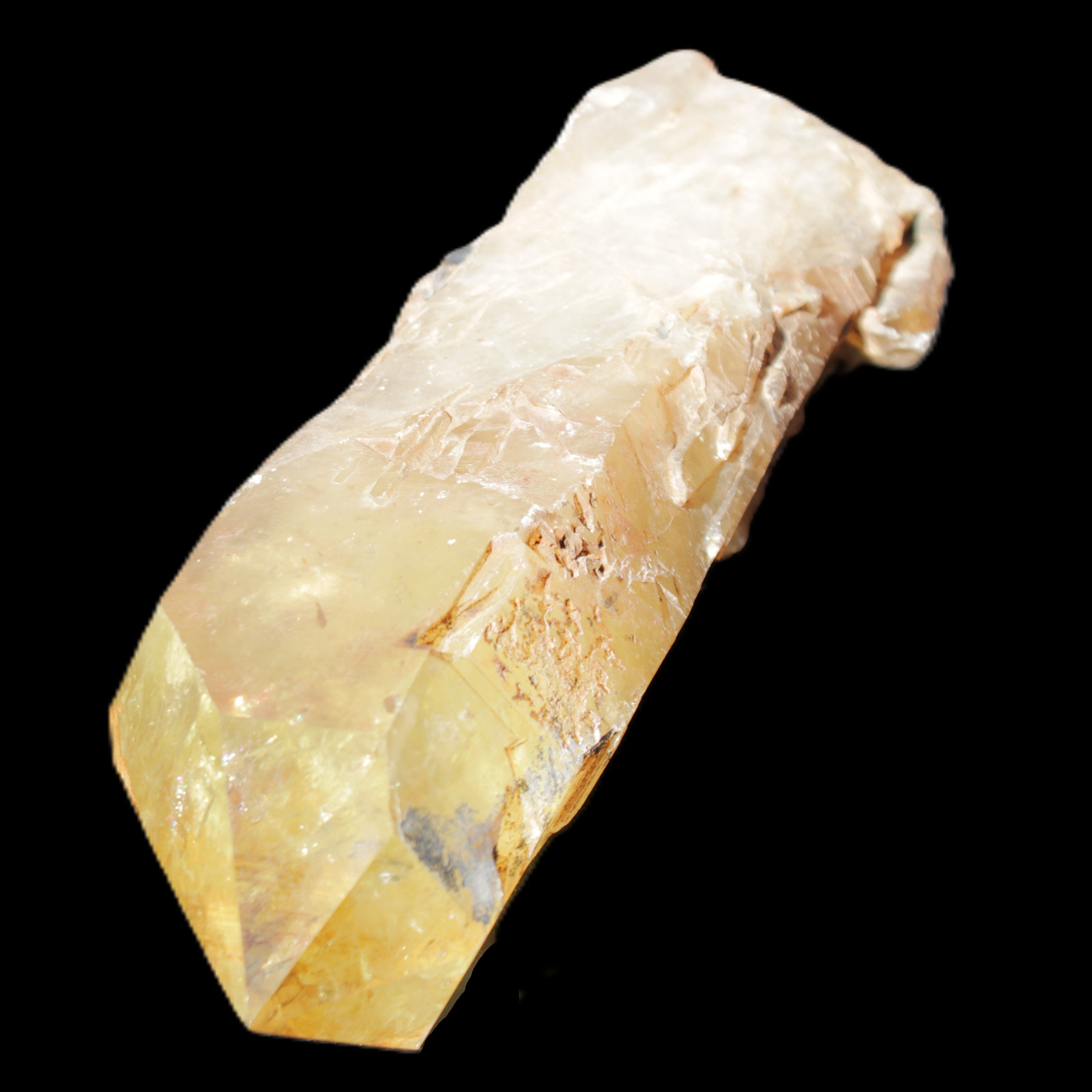 Natural Citrine backbone crystal 261*71*59mm 1365g in sunlight - Rocks and Things Store