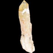 Natural Citrine backbone crystal 261*71*59mm 1365g in sunlight - Rocks and Things Store