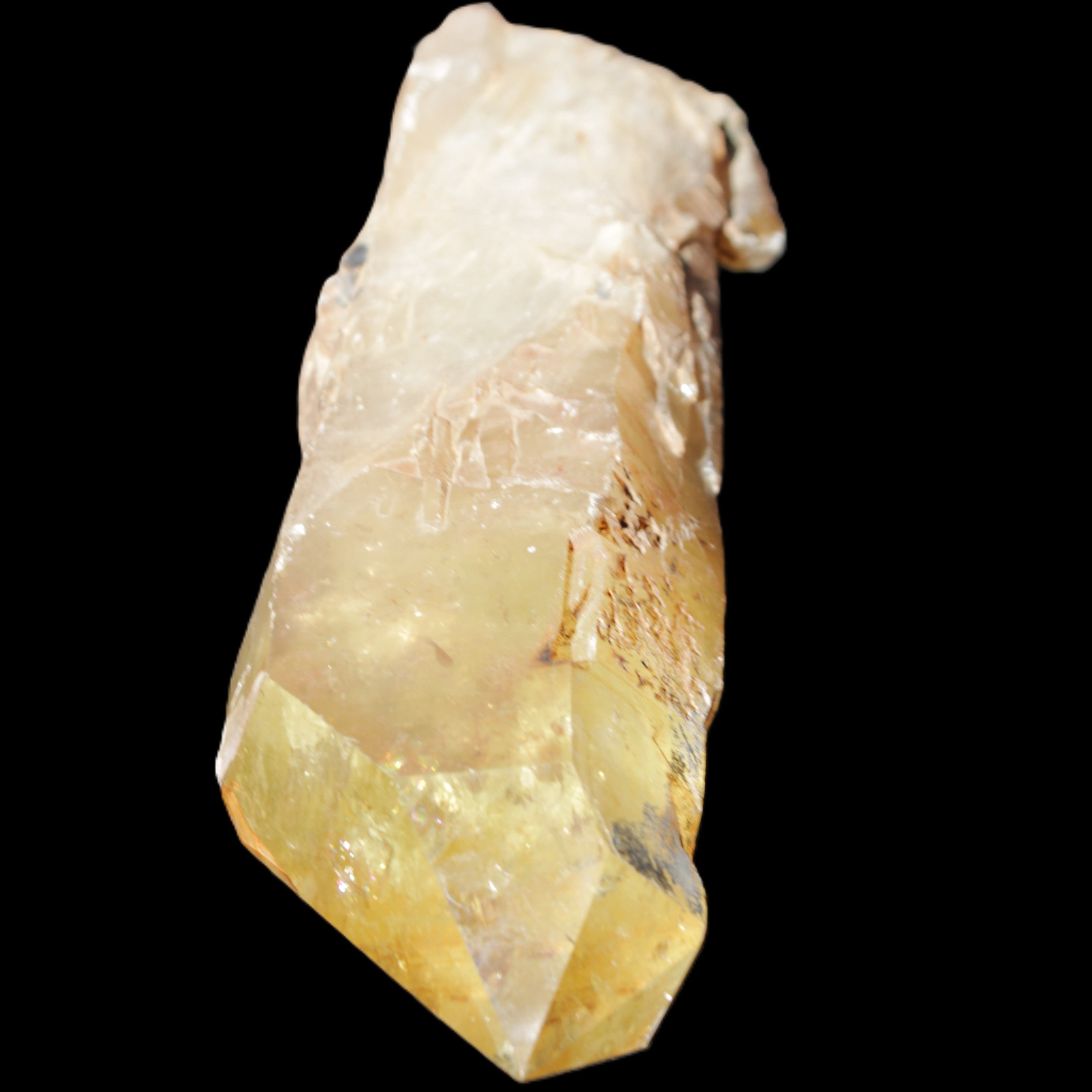 Natural Citrine backbone crystal 261*71*59mm 1365g in sunlight - Rocks and Things Store