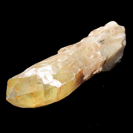 Natural Citrine backbone crystal 261*71*59mm 1365g in sunlight - Rocks and Things Store