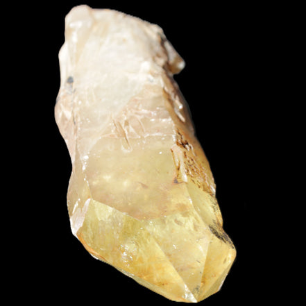 Natural Citrine backbone crystal 261*71*59mm 1365g in sunlight - Rocks and Things Store