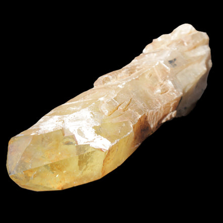 Natural Citrine backbone crystal 261*71*59mm 1365g in sunlight - Rocks and Things Store