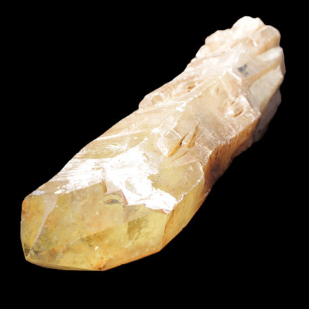 Natural Citrine backbone crystal 261*71*59mm 1365g in sunlight - Rocks and Things Store