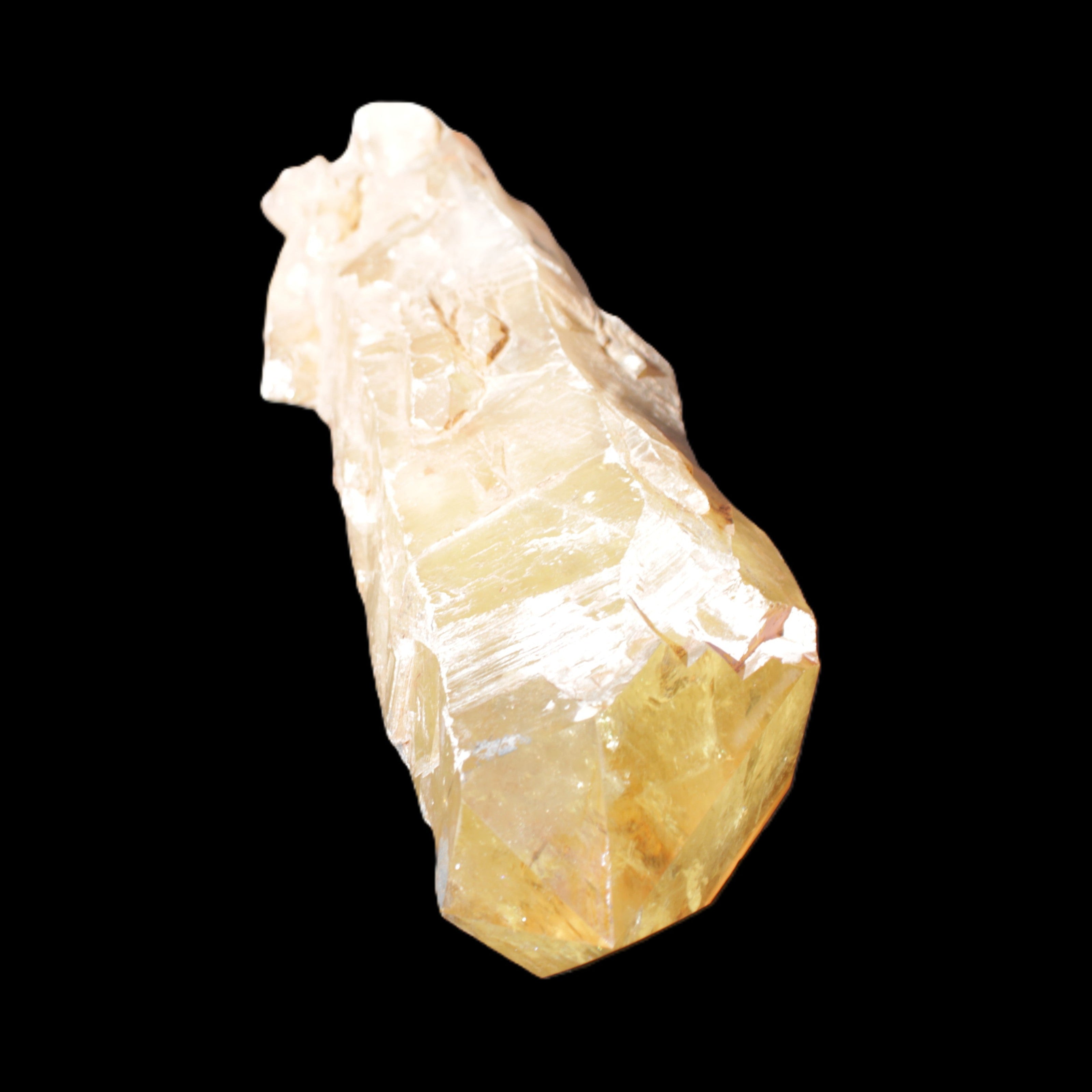 Natural Citrine backbone crystal 261*71*59mm 1365g in sunlight - Rocks and Things Store