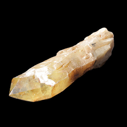 Natural Citrine backbone crystal 261*71*59mm 1365g in sunlight - Rocks and Things Store