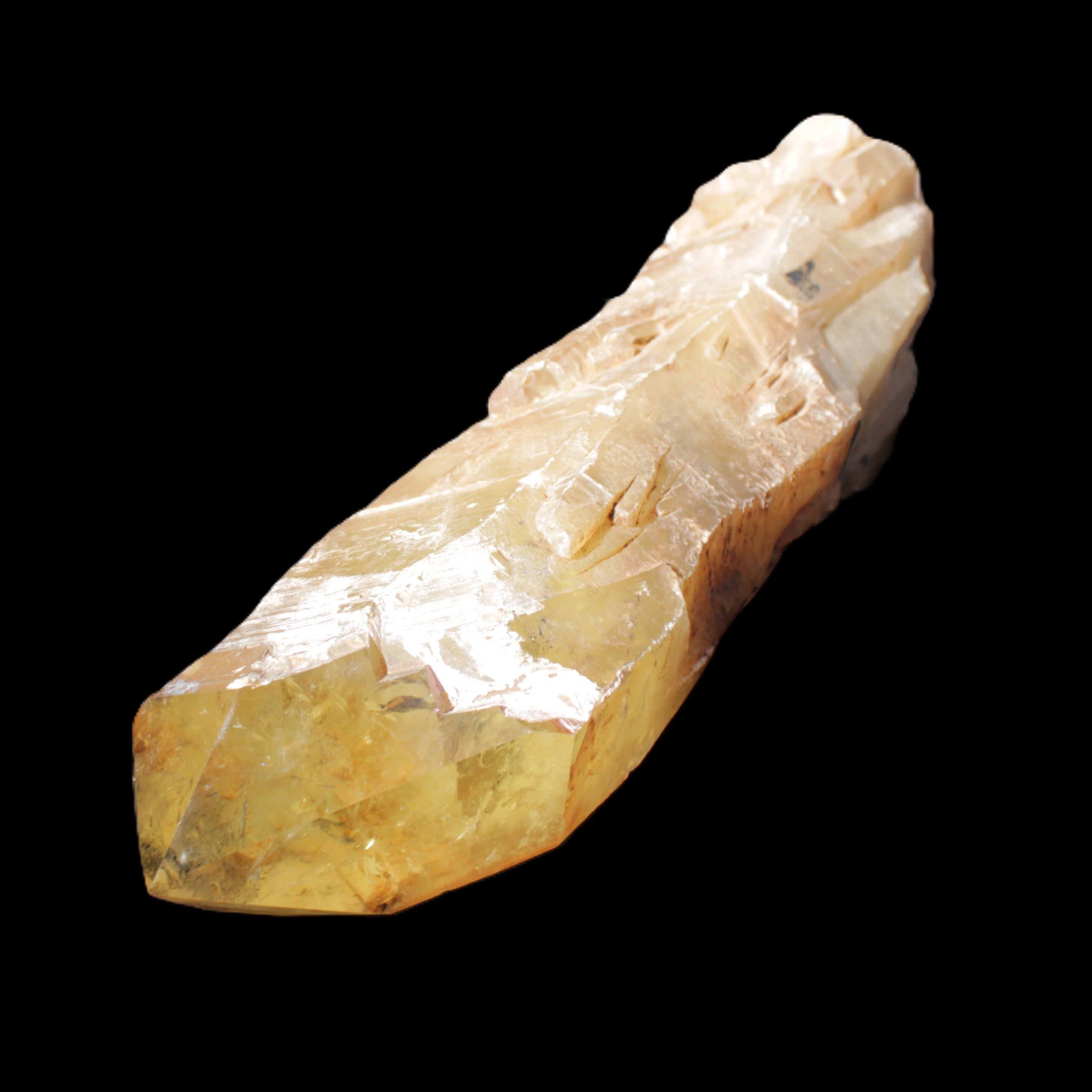 Natural Citrine backbone crystal 261*71*59mm 1365g in sunlight - Rocks and Things Store