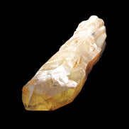 Natural Citrine backbone crystal 261*71*59mm 1365g in sunlight - Rocks and Things Store