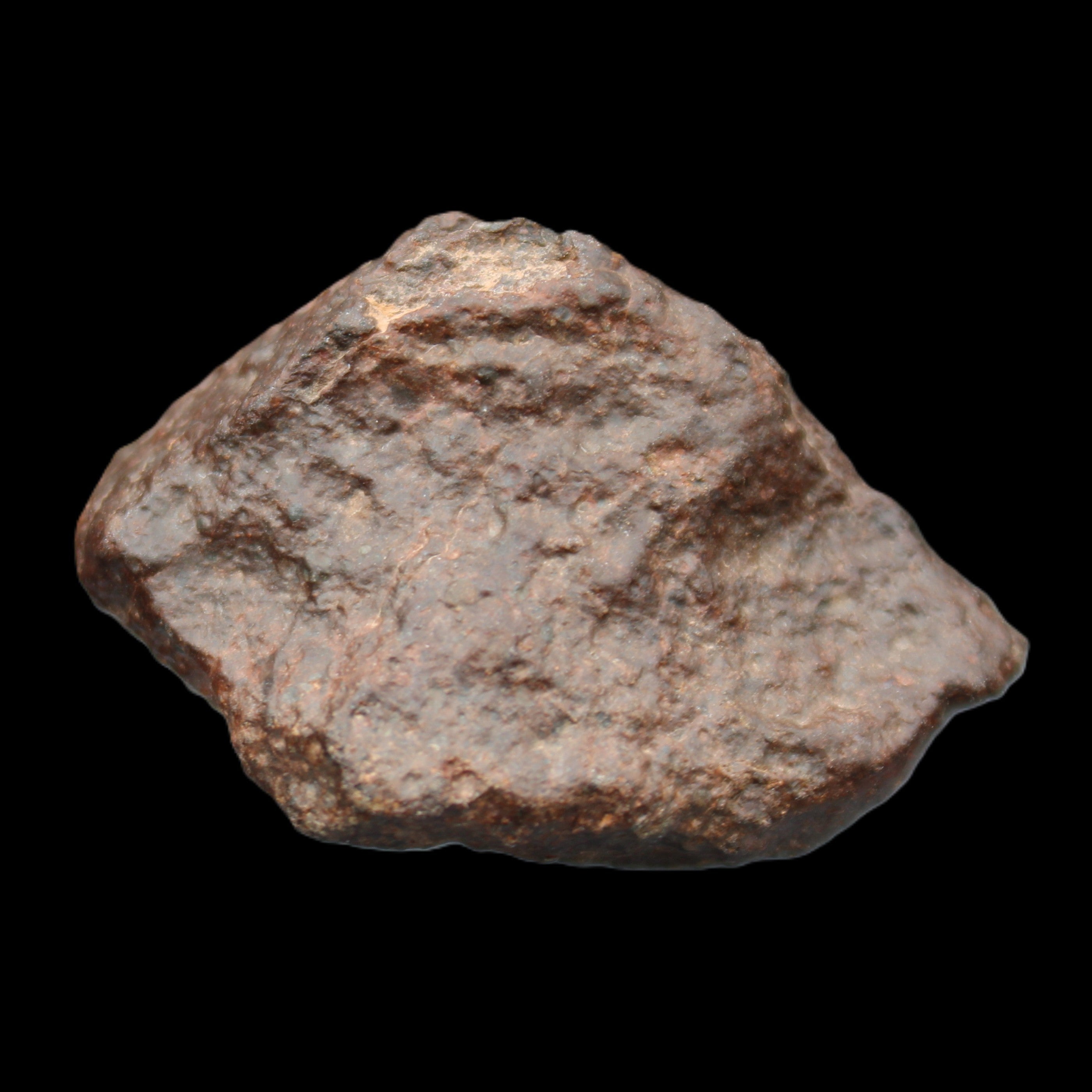 Chondrite Meteorite NWA Unclassified from Erfoud, Morocco 45*31*25mm 40g in sunlight - Rocks and Things Store