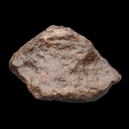 Chondrite Meteorite NWA Unclassified from Erfoud, Morocco 45*31*25mm 40g in sunlight - Rocks and Things Store