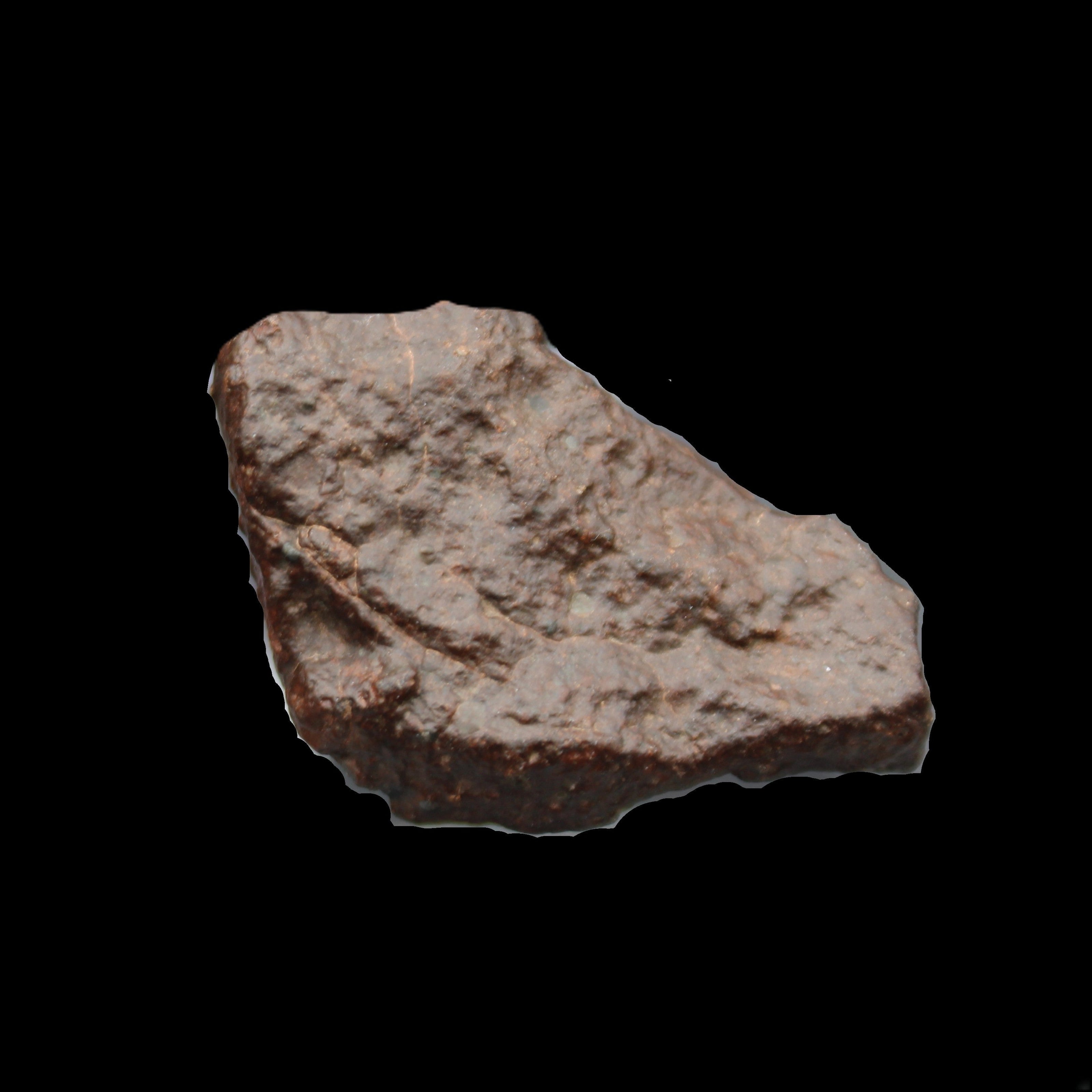 Chondrite Meteorite NWA Unclassified from Erfoud, Morocco 45*31*25mm 40g in sunlight - Rocks and Things Store