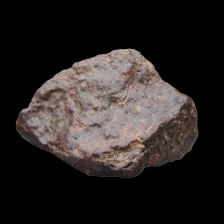 Chondrite Meteorite NWA Unclassified from Erfoud, Morocco 45*31*25mm 40g in sunlight - Rocks and Things Store