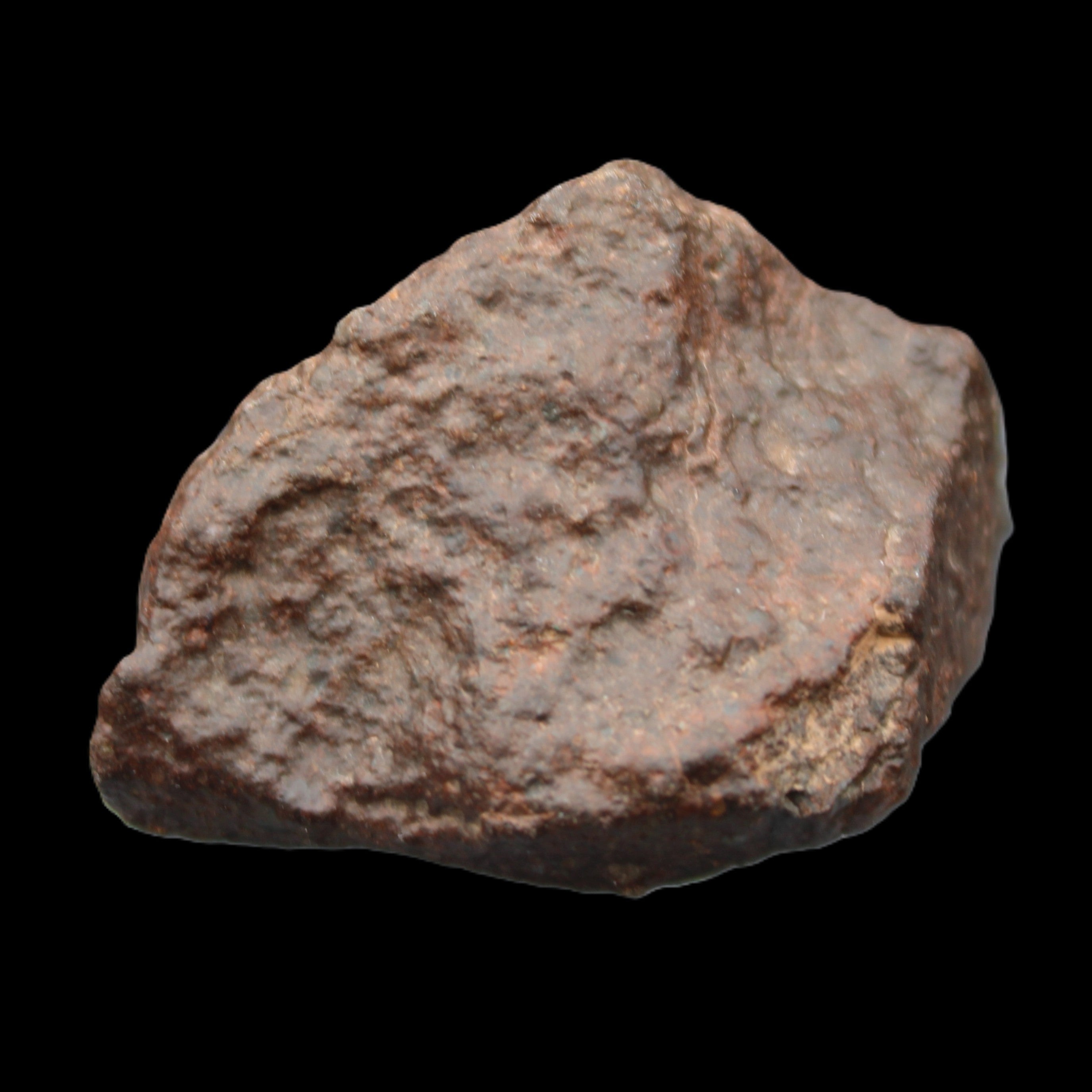 Chondrite Meteorite NWA Unclassified from Erfoud, Morocco 45*31*25mm 40g in sunlight - Rocks and Things Store