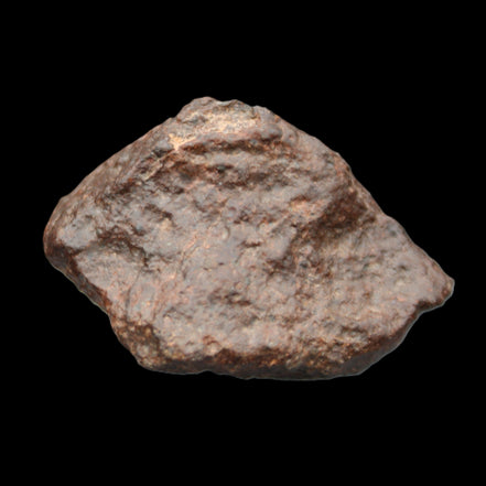Chondrite Meteorite NWA Unclassified from Erfoud, Morocco 45*31*25mm 40g in sunlight - Rocks and Things Store