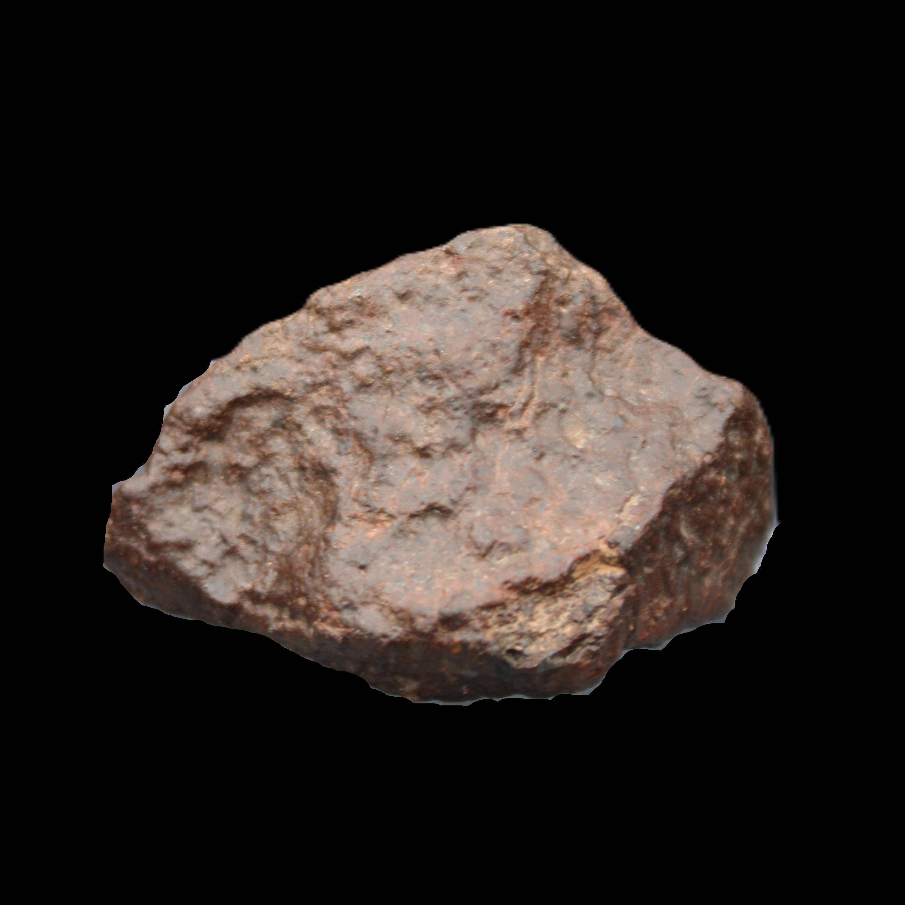 Chondrite Meteorite NWA Unclassified from Erfoud, Morocco 45*31*25mm 40g in sunlight - Rocks and Things Store