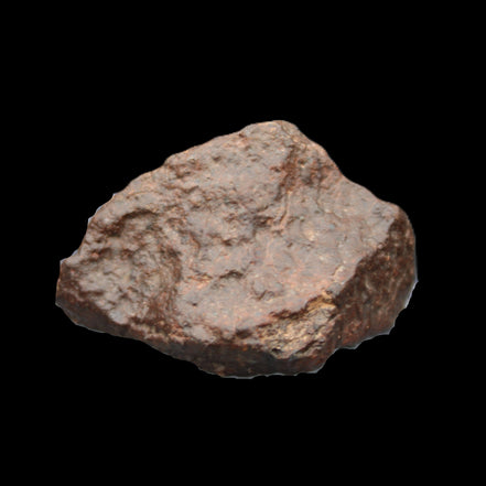 Chondrite Meteorite NWA Unclassified from Erfoud, Morocco 45*31*25mm 40g in sunlight - Rocks and Things Store