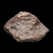 Chondrite Meteorite NWA Unclassified from Erfoud, Morocco 45*31*25mm 40g in sunlight - Rocks and Things Store