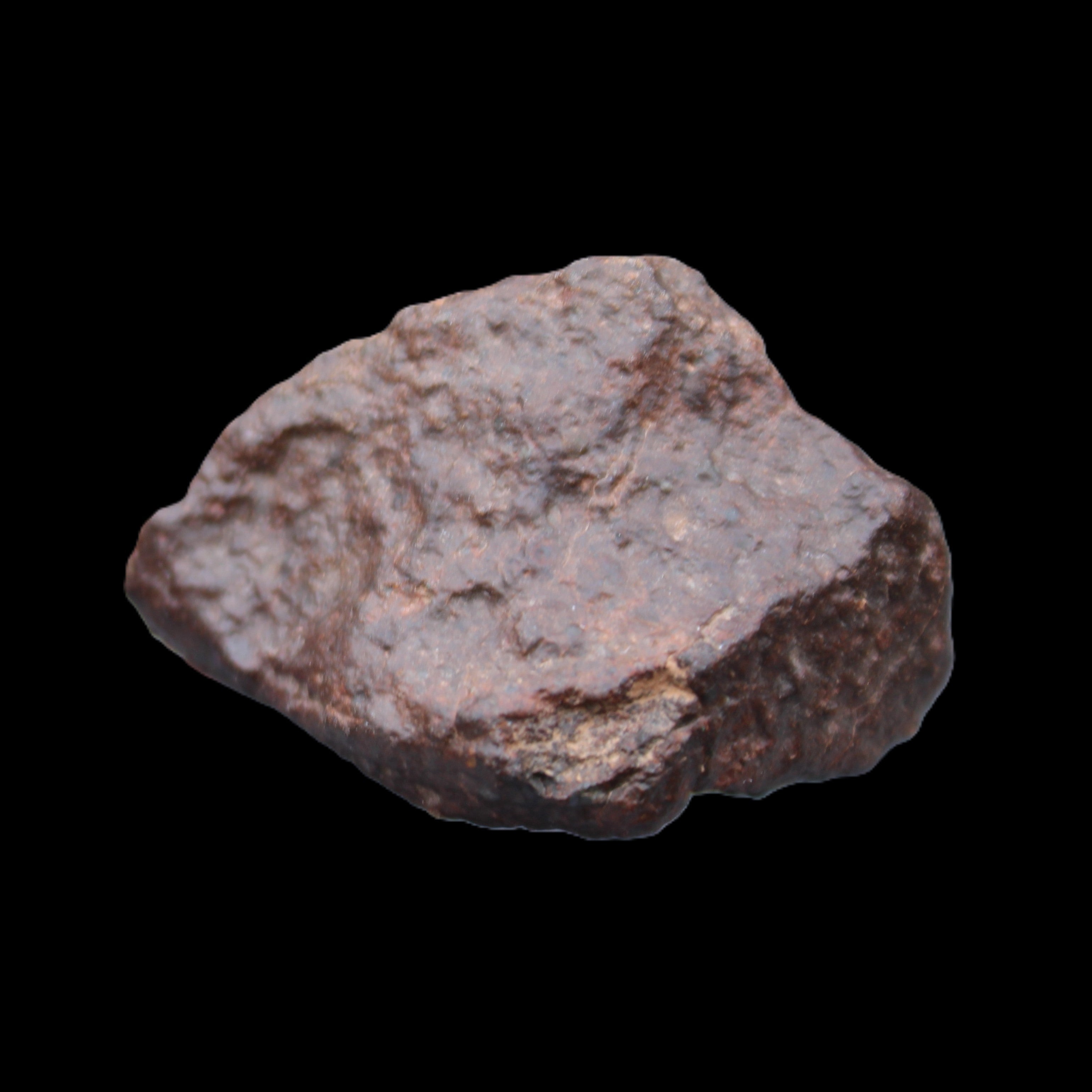 Chondrite Meteorite NWA Unclassified from Erfoud, Morocco 45*31*25mm 40g in sunlight - Rocks and Things Store