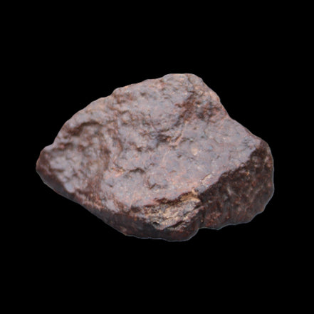 Chondrite Meteorite NWA Unclassified from Erfoud, Morocco 45*31*25mm 40g in sunlight - Rocks and Things Store