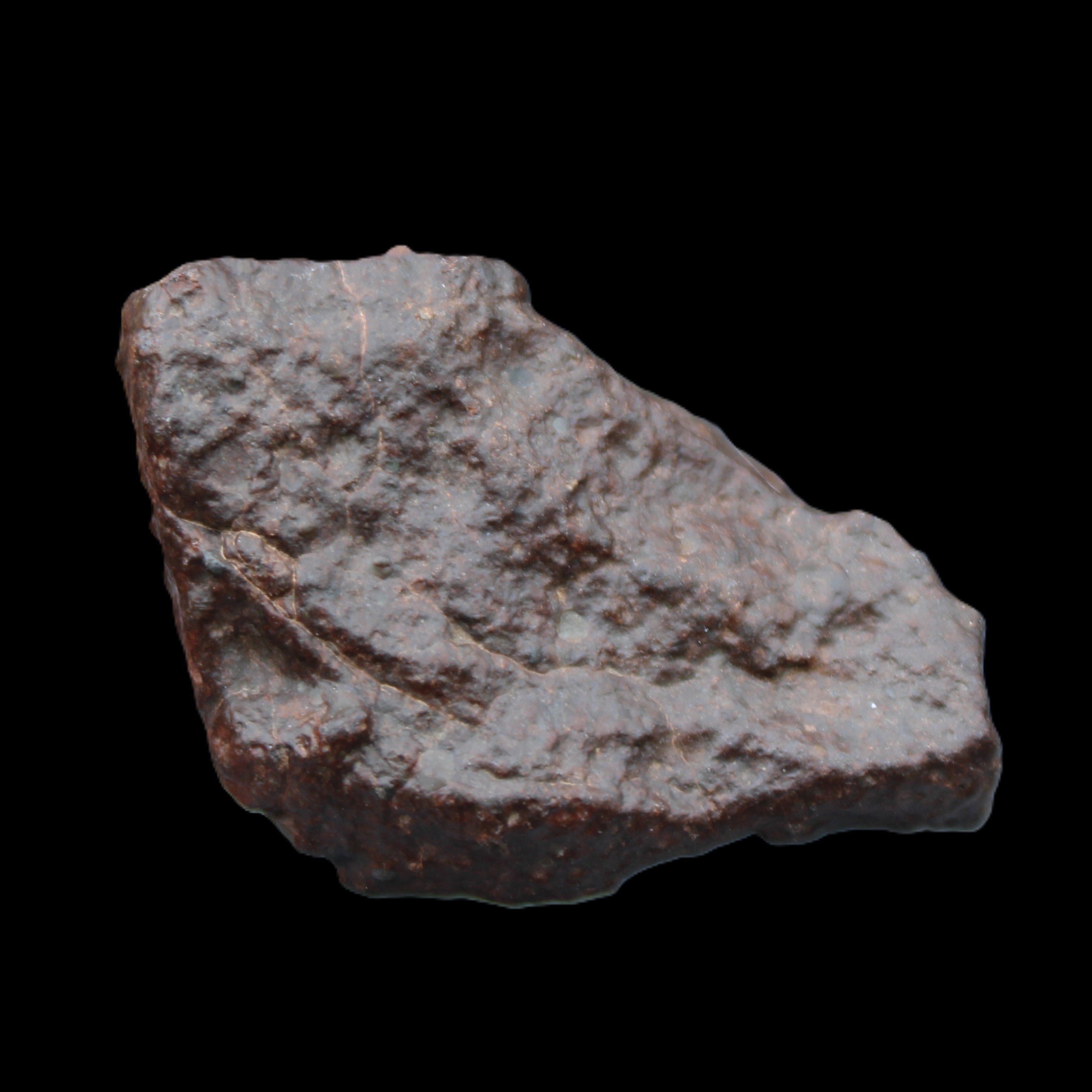 Chondrite Meteorite NWA Unclassified from Erfoud, Morocco 45*31*25mm 40g in sunlight - Rocks and Things Store
