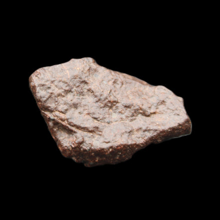 Chondrite Meteorite NWA Unclassified from Erfoud, Morocco 45*31*25mm 40g in sunlight - Rocks and Things Store