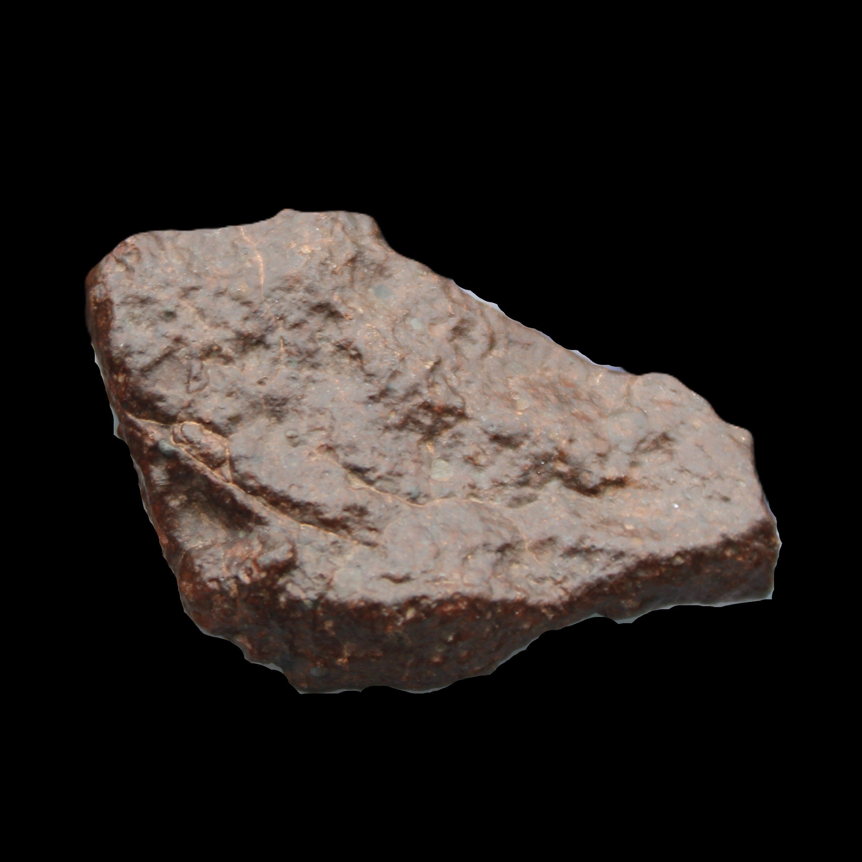Chondrite Meteorite NWA Unclassified from Erfoud, Morocco 45*31*25mm 40g in sunlight - Rocks and Things Store