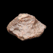 Chondrite Meteorite NWA Unclassified from Erfoud, Morocco 45*31*25mm 40g in sunlight - Rocks and Things Store