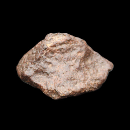 Chondrite Meteorite NWA Unclassified from Erfoud, Morocco 45*31*25mm 40g in sunlight - Rocks and Things Store