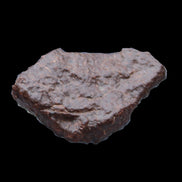 Chondrite Meteorite NWA Unclassified from Erfoud, Morocco 45*31*25mm 40g in sunlight - Rocks and Things Store