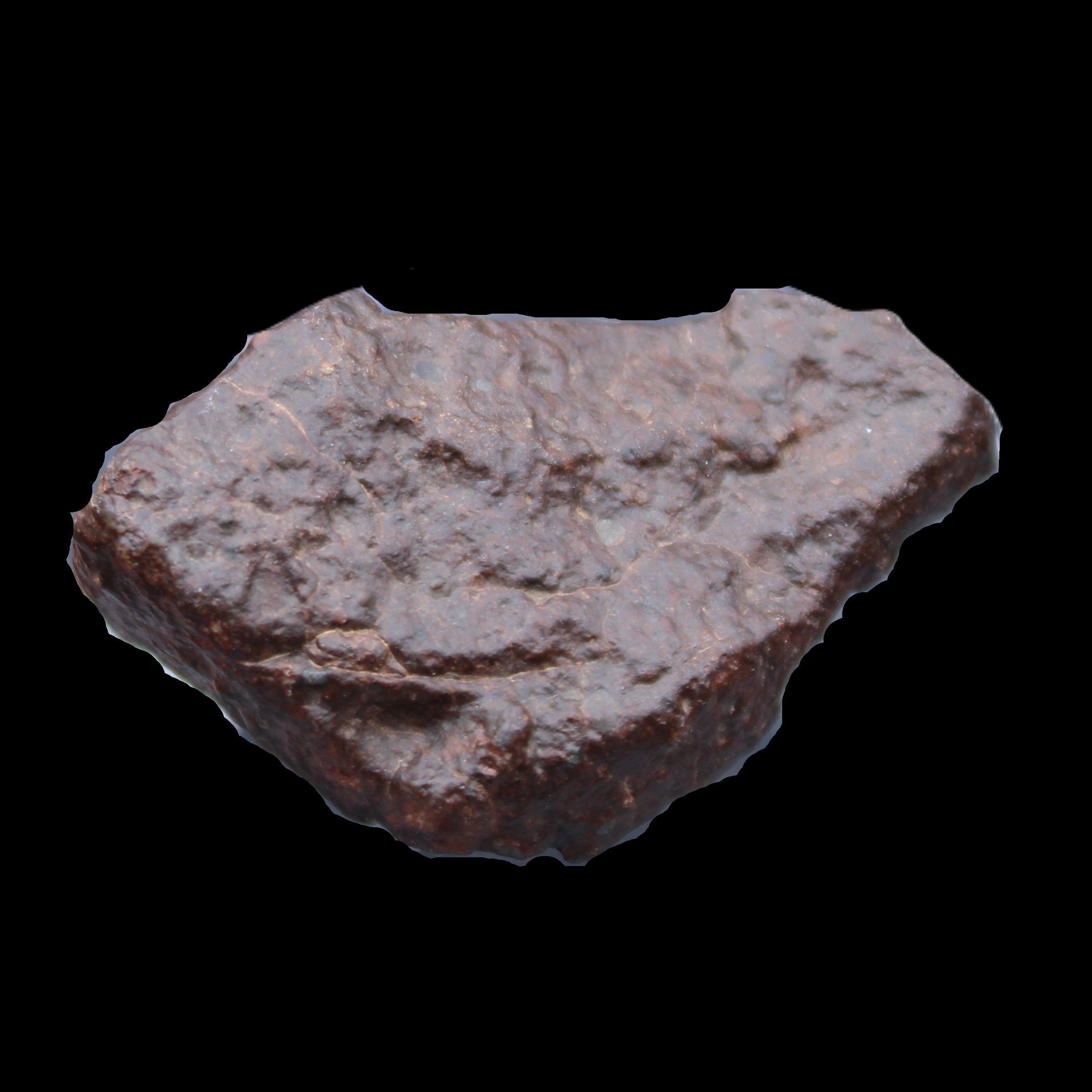 Chondrite Meteorite NWA Unclassified from Erfoud, Morocco 45*31*25mm 40g in sunlight - Rocks and Things Store