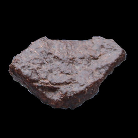 Chondrite Meteorite NWA Unclassified from Erfoud, Morocco 45*31*25mm 40g in sunlight - Rocks and Things Store