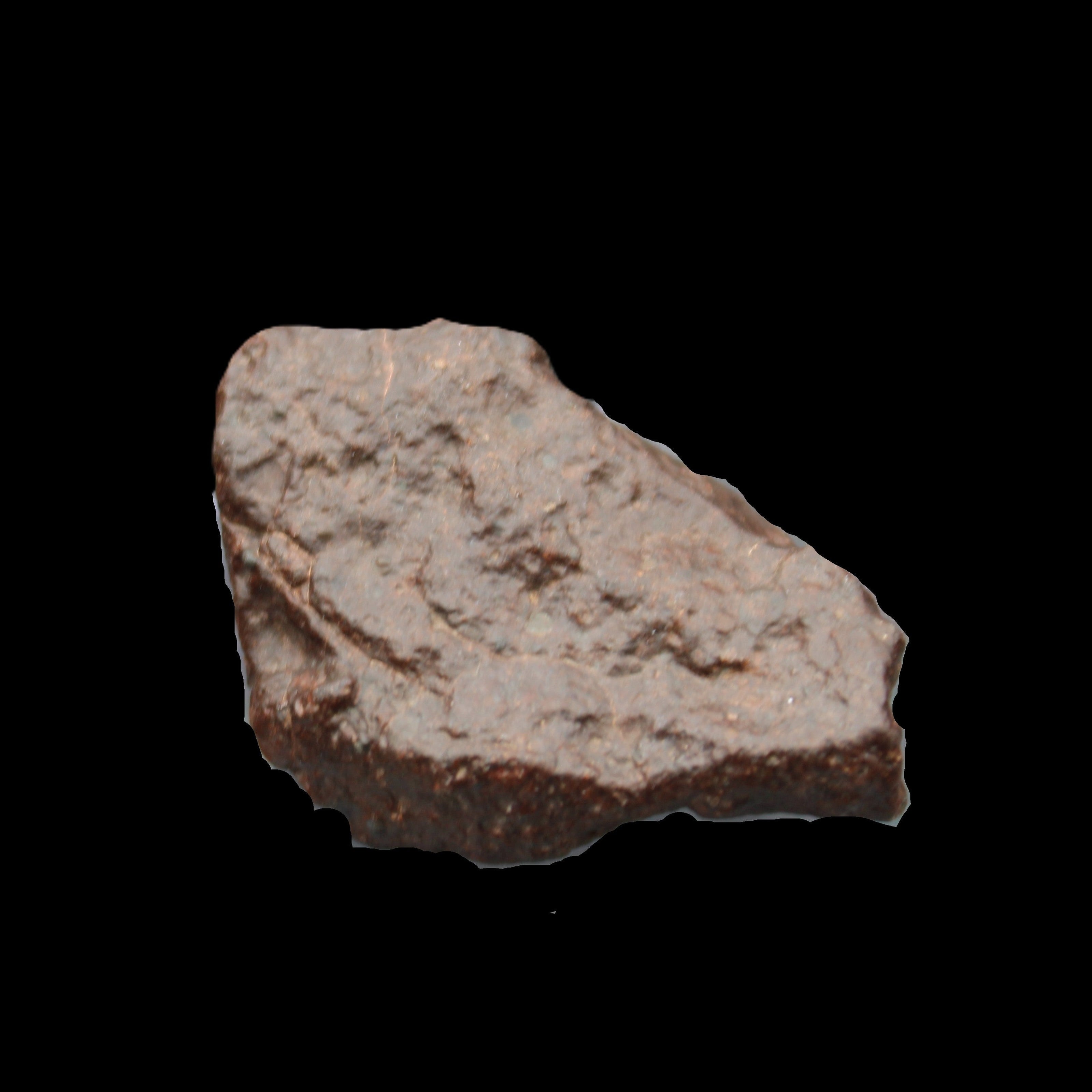 Chondrite Meteorite NWA Unclassified from Erfoud, Morocco 45*31*25mm 40g in sunlight - Rocks and Things Store