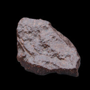 Chondrite Meteorite NWA Unclassified from Erfoud, Morocco 45*31*25mm 40g in sunlight - Rocks and Things Store
