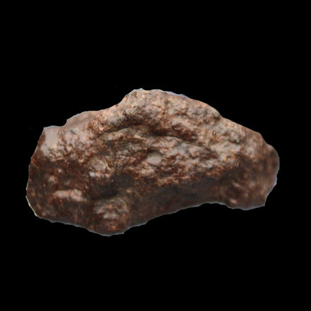 Chondrite Meteorite NWA Unclassified from Erfoud, Morocco 45*31*25mm 40g in sunlight - Rocks and Things Store